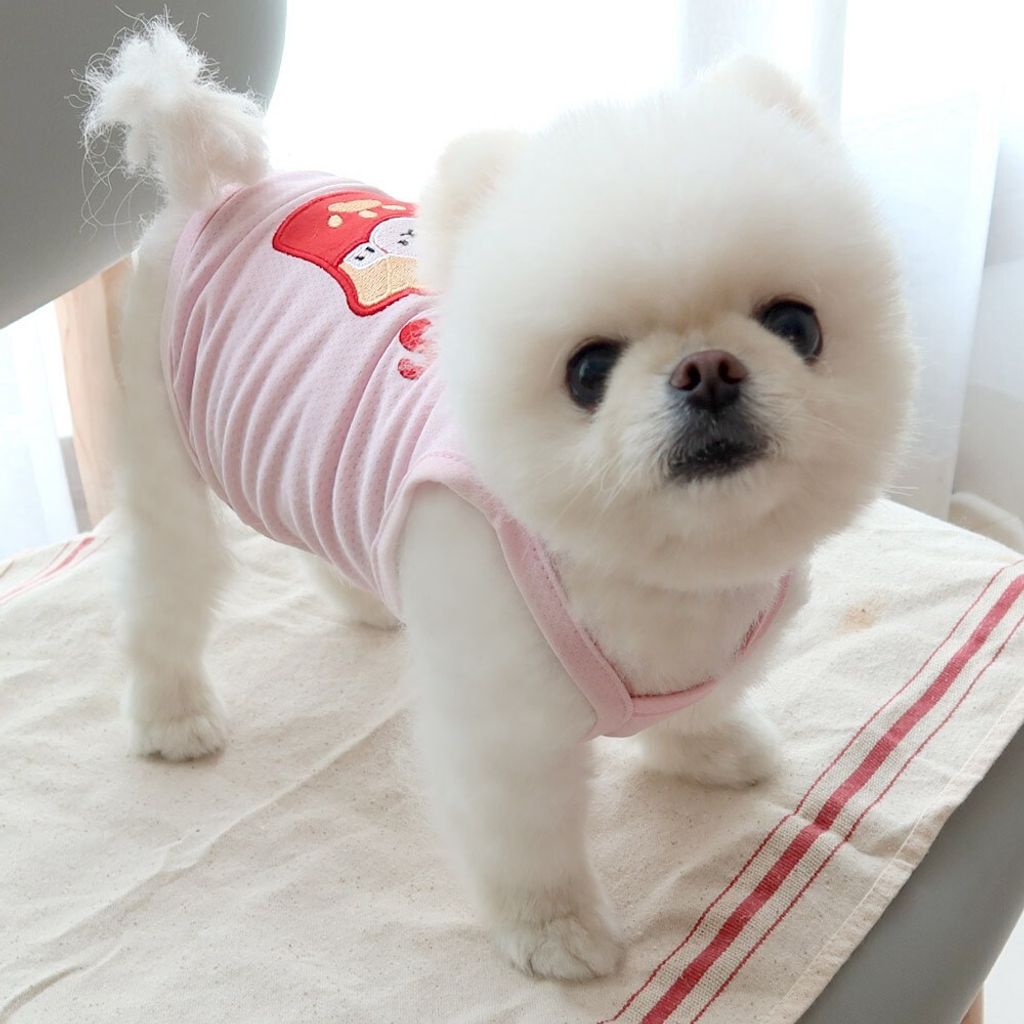 LINE_ALBUM_Honey dogg_260526_169