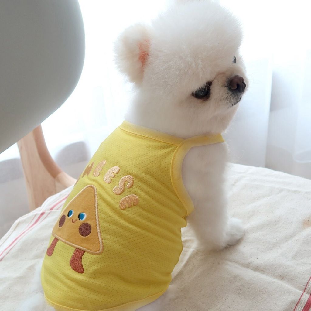 LINE_ALBUM_Honey dogg_260526_162
