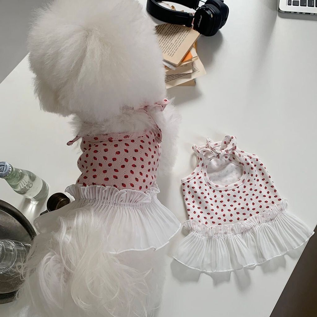 LINE_ALBUM_Frei_260526_77