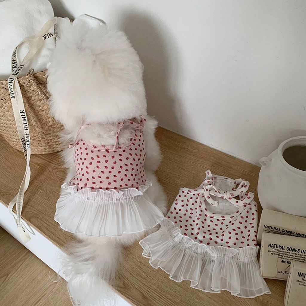 LINE_ALBUM_Frei_260526_87