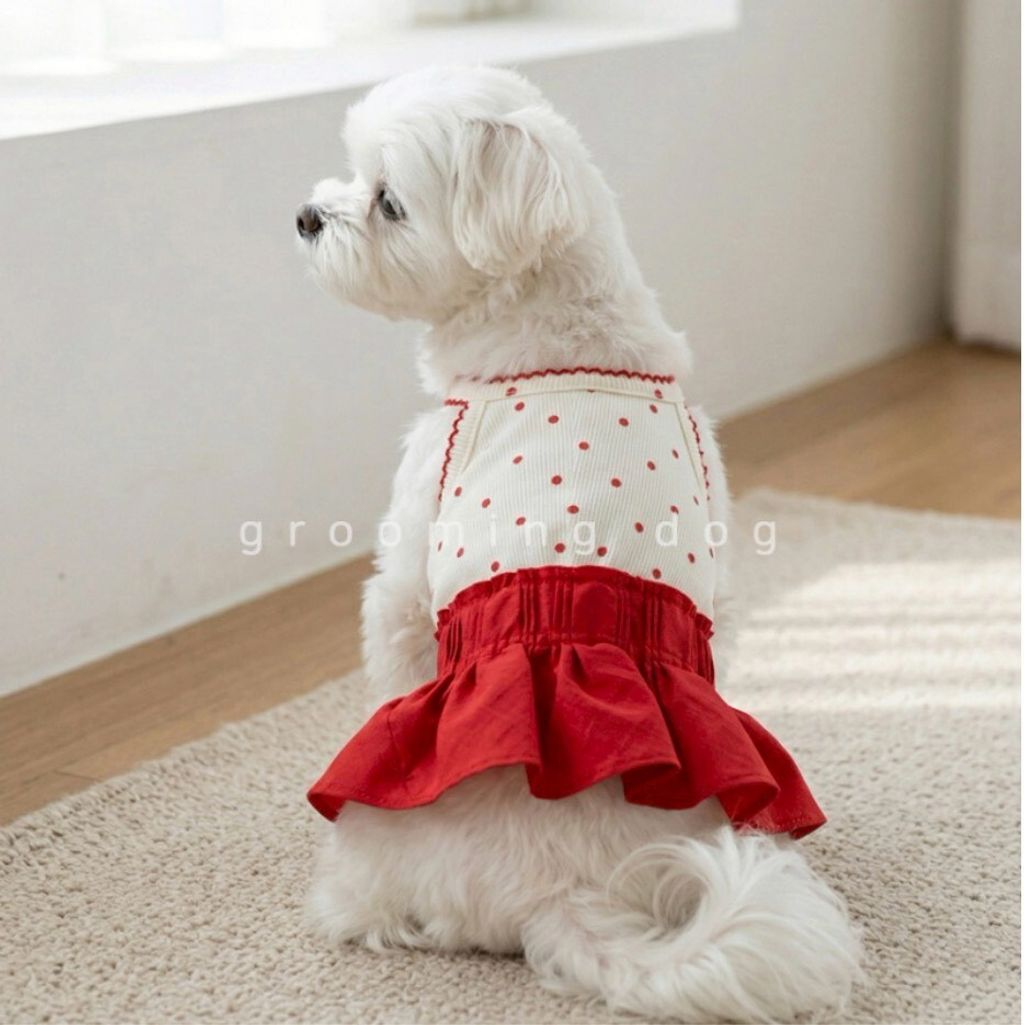 LINE_ALBUM_Grooming dog_260526_7