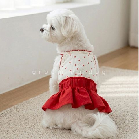 LINE_ALBUM_Grooming dog_260526_7
