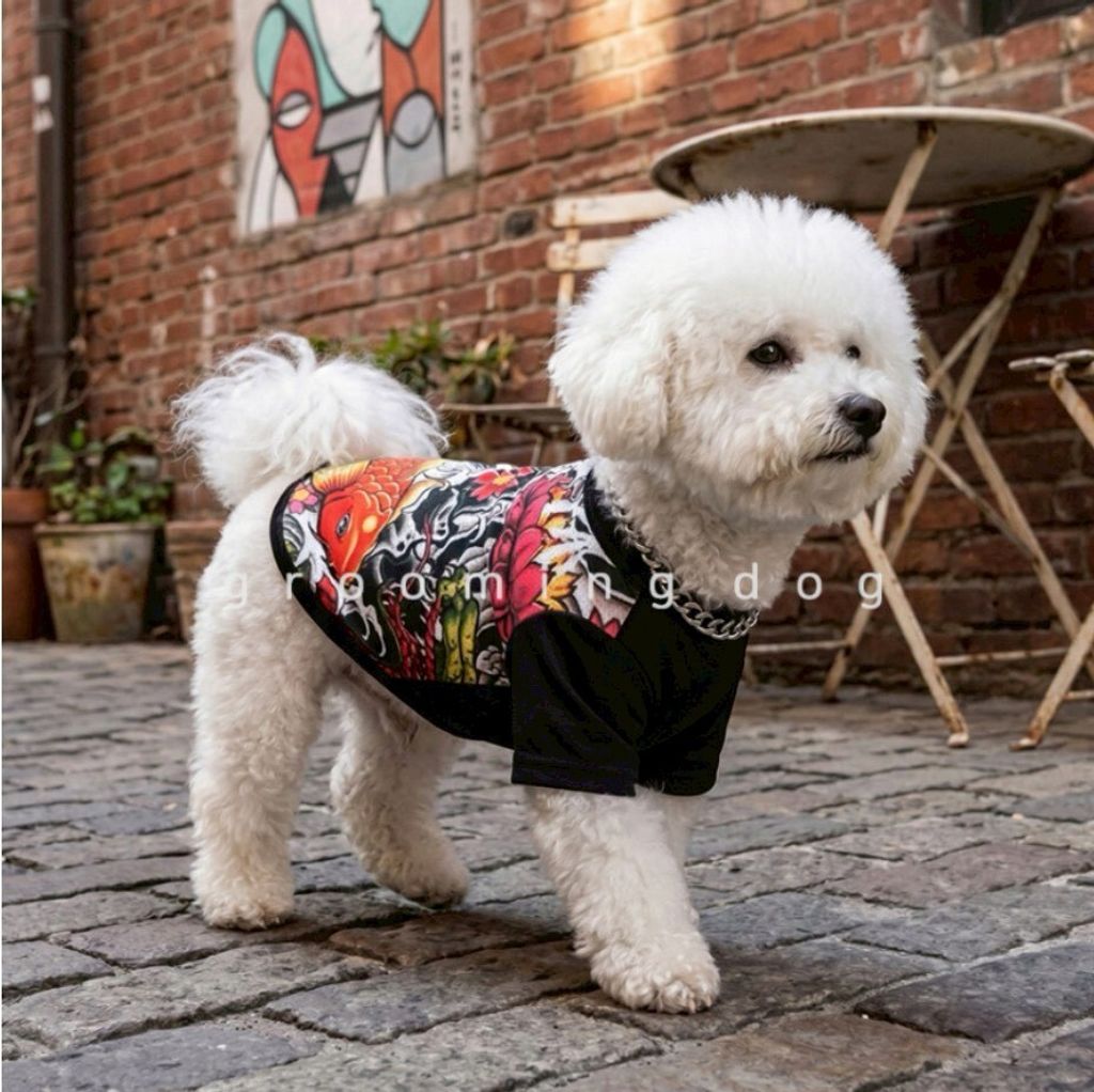 LINE_ALBUM_Grooming dog_260526_19