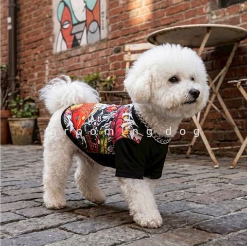 LINE_ALBUM_Grooming dog_260526_19