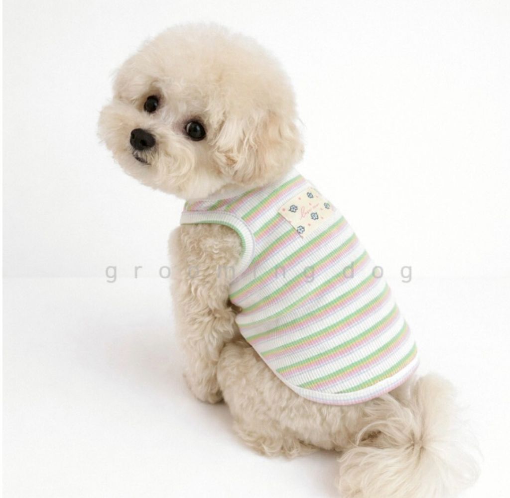 LINE_ALBUM_Grooming dog_260526_41