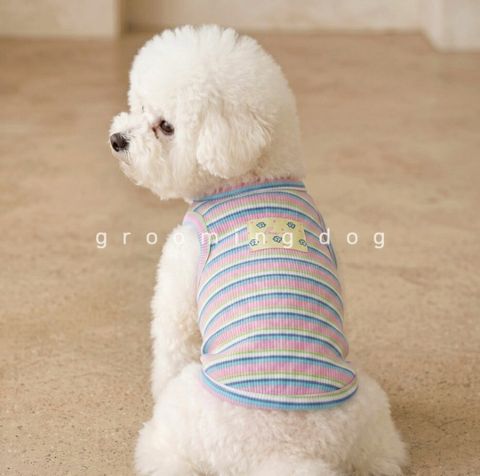 LINE_ALBUM_Grooming dog_260526_43