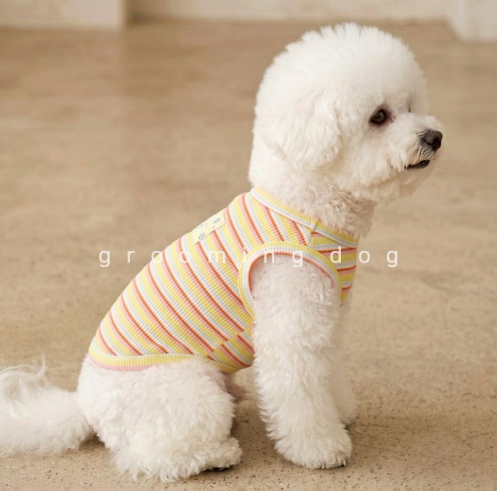 LINE_ALBUM_Grooming dog_260526_42