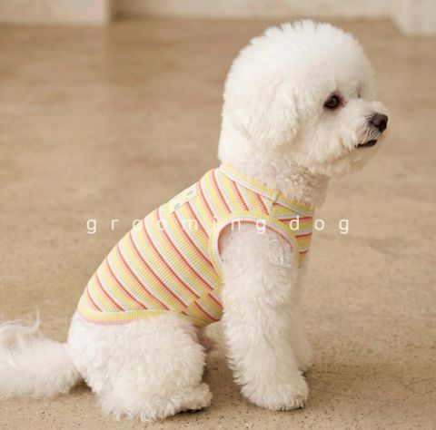 LINE_ALBUM_Grooming dog_260526_42