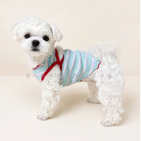 LINE_ALBUM_Grooming dog_260526_47