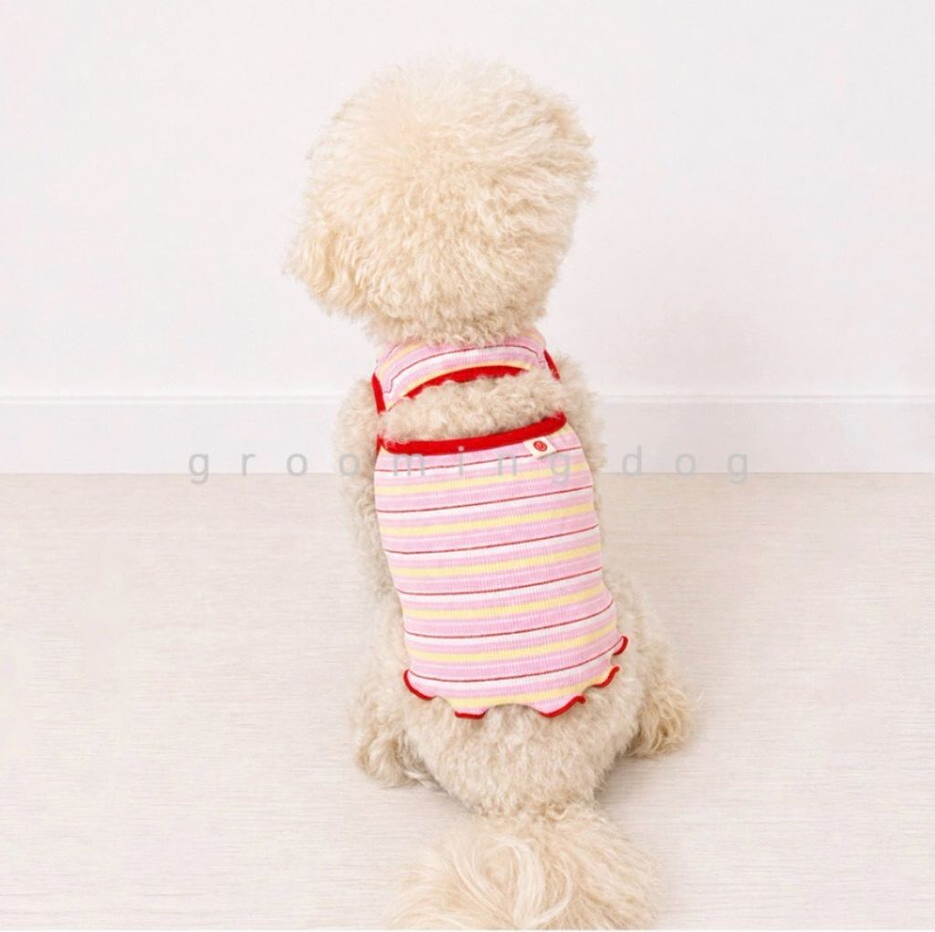 LINE_ALBUM_Grooming dog_260526_48