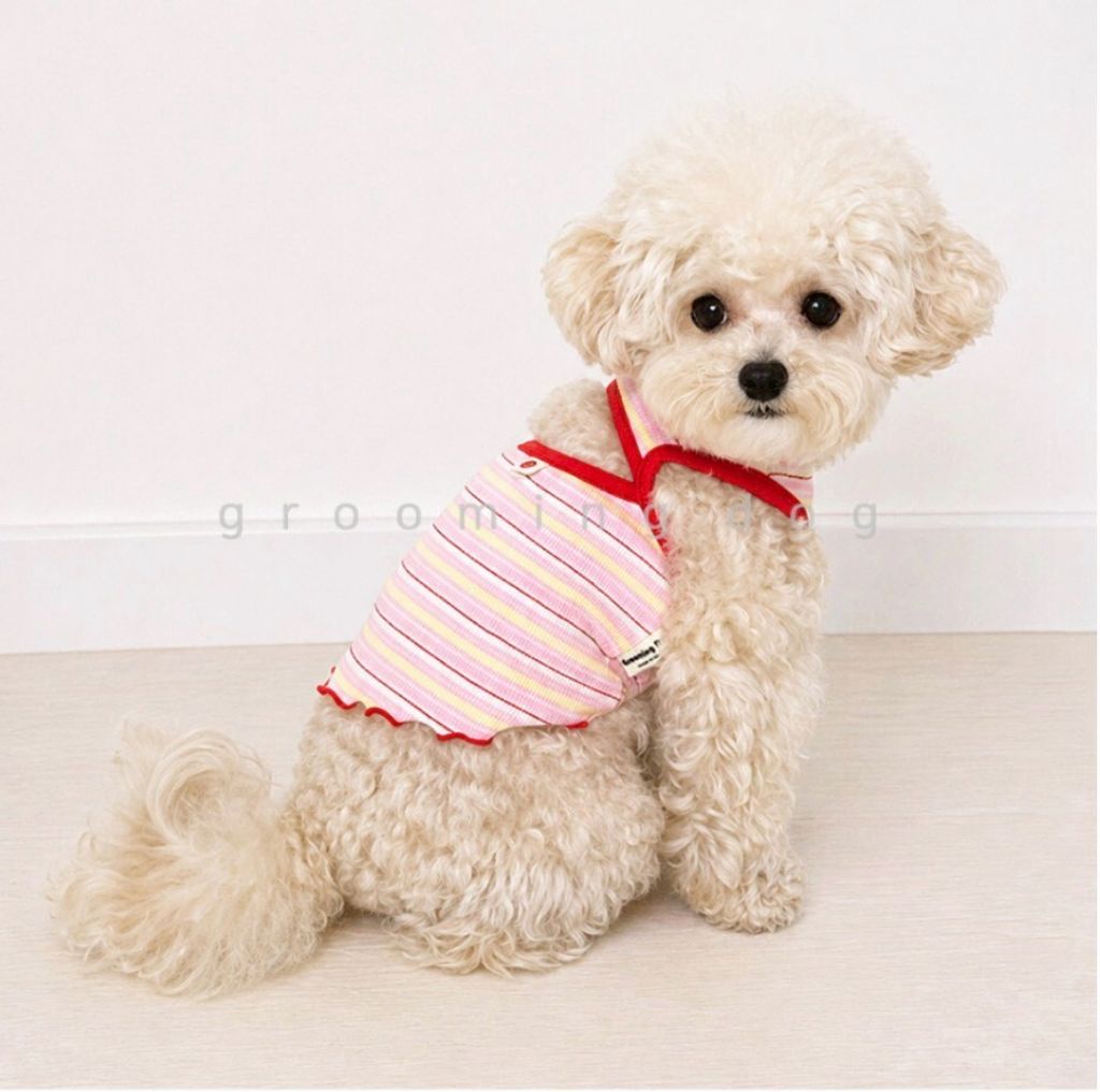 LINE_ALBUM_Grooming dog_260526_49