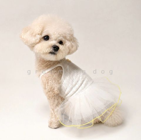 LINE_ALBUM_Grooming dog_260526_61