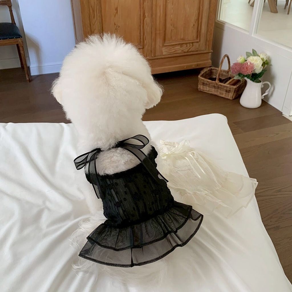 LINE_ALBUM_Frei_260526_9