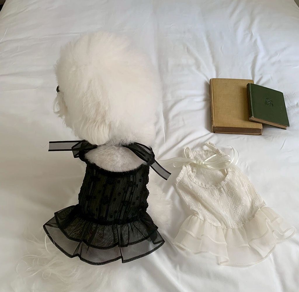 LINE_ALBUM_Frei_260526_23