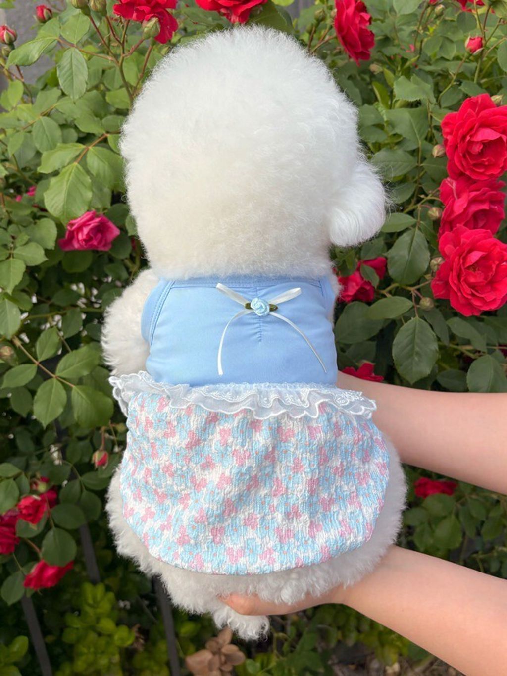 LINE_ALBUM_Merrymuah_260527_10
