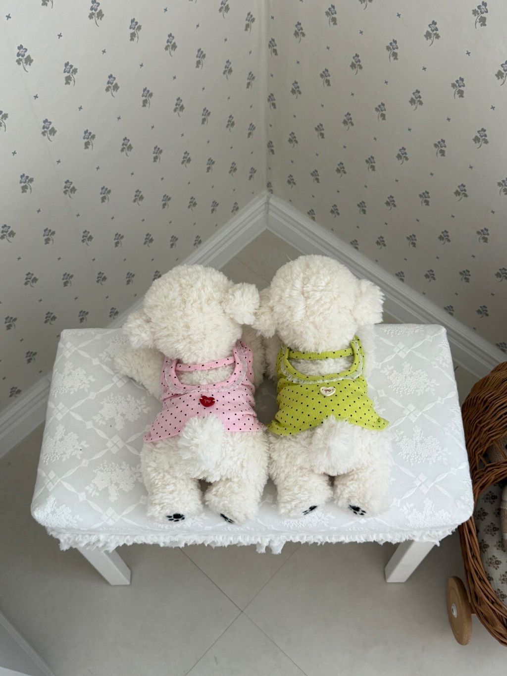 LINE_ALBUM_Dearmeong_260527_2