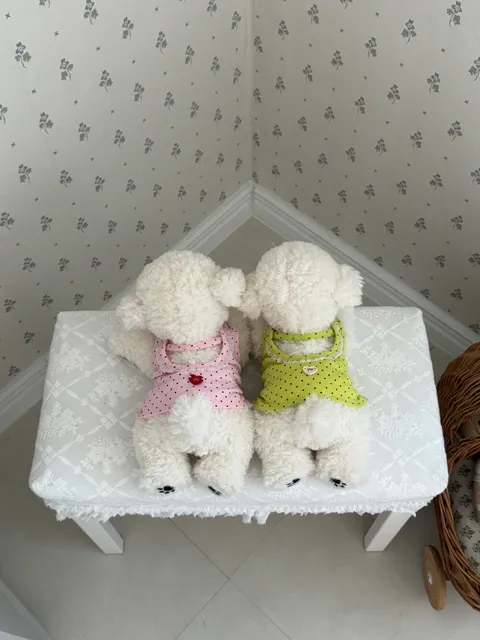 LINE_ALBUM_Dearmeong_260527_2