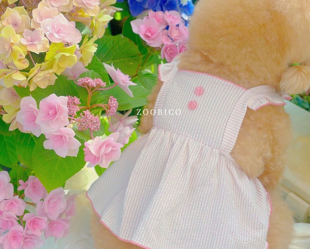 LINE_ALBUM_Zoobico_260629_24