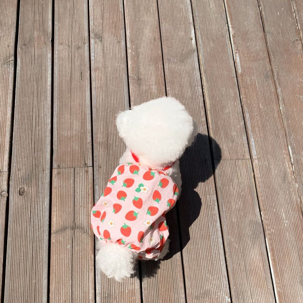 LINE_ALBUM_Merrymuah_260629_19