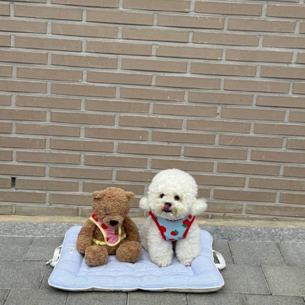 LINE_ALBUM_Dearmeong_260629_10