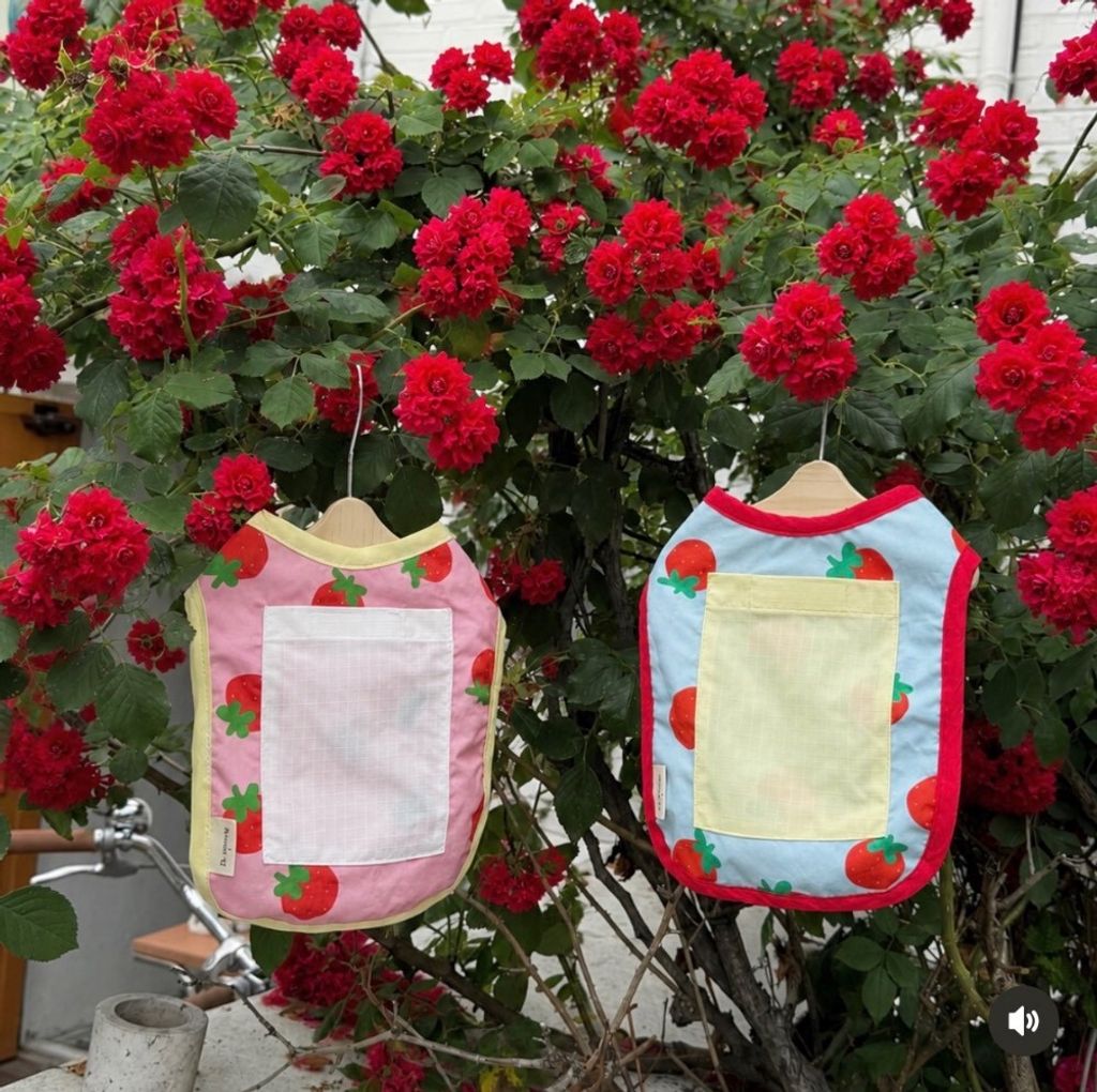 LINE_ALBUM_Dearmeong_260629_1