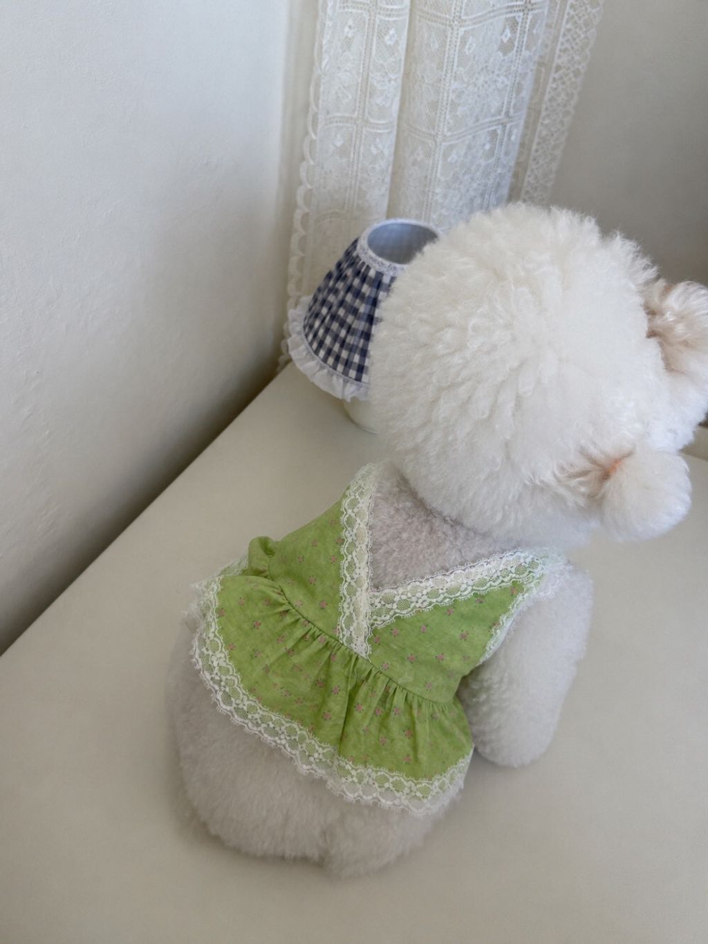 LINE_ALBUM_Dearmeong_260629_42