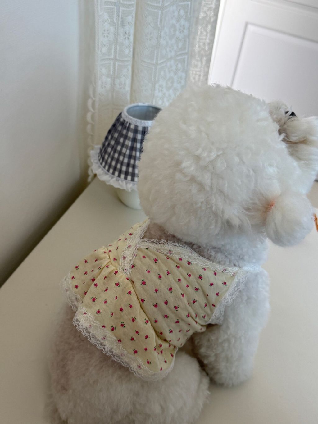 LINE_ALBUM_Dearmeong_260629_45