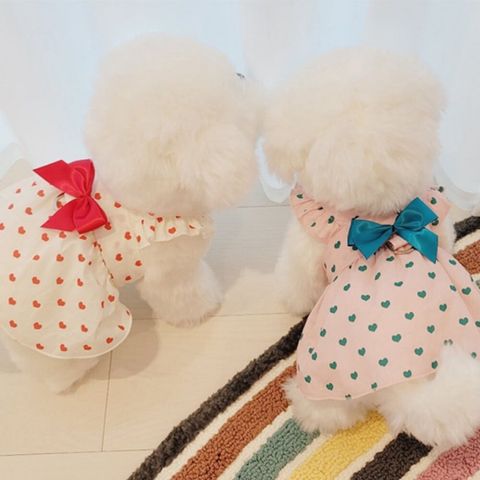 LINE_ALBUM_Black able puppy_260630_1