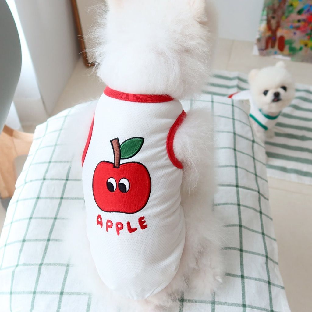 LINE_ALBUM_Honey dogg_260630_10
