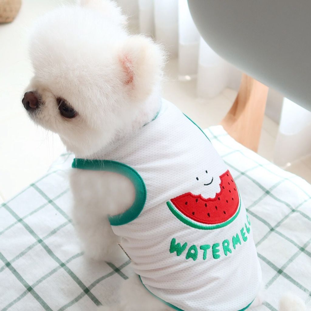 LINE_ALBUM_Honey dogg_260630_12