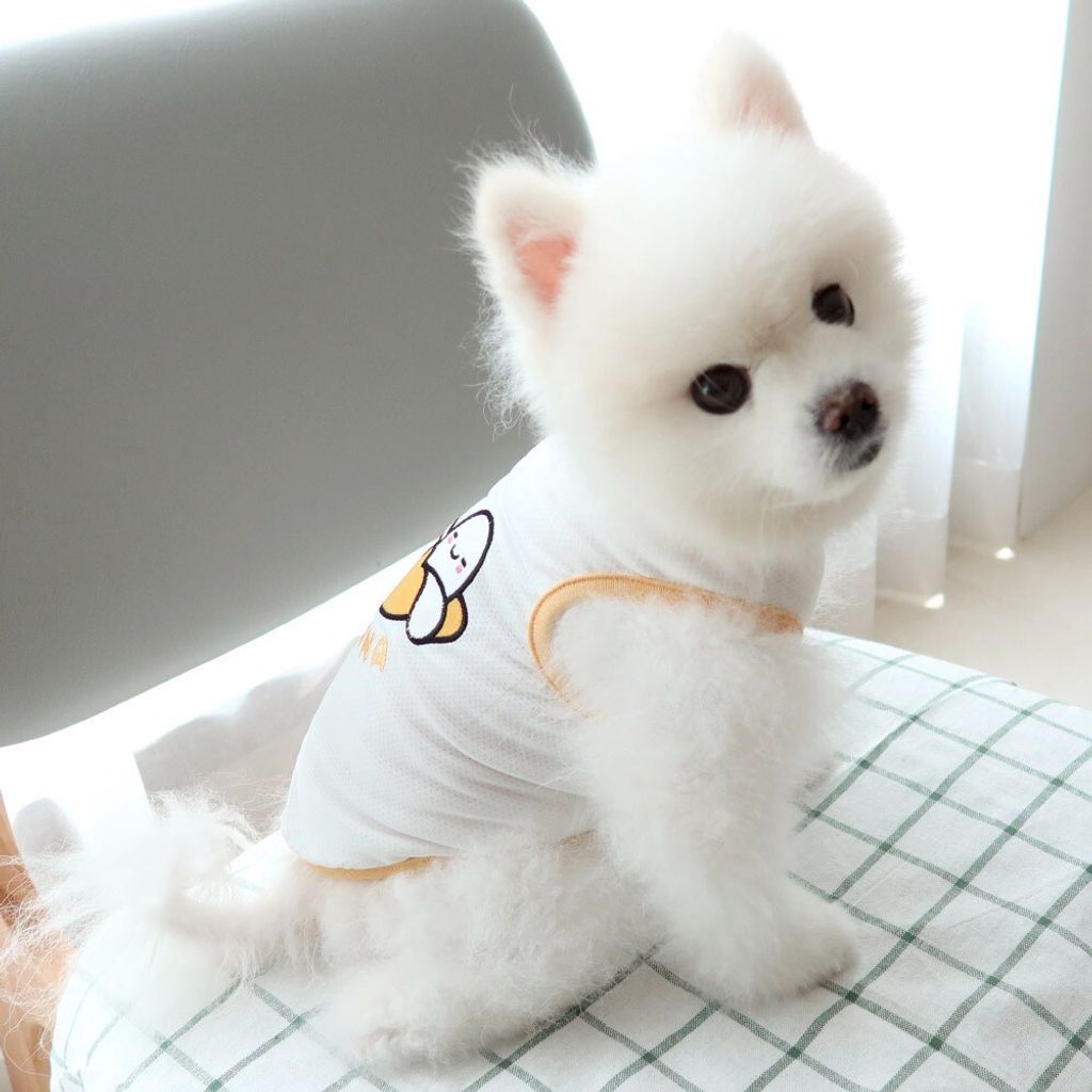 LINE_ALBUM_Honey dogg_260630_19
