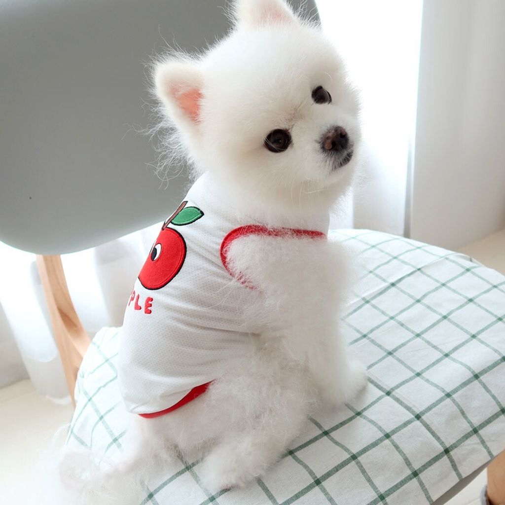 LINE_ALBUM_Honey dogg_260630_11