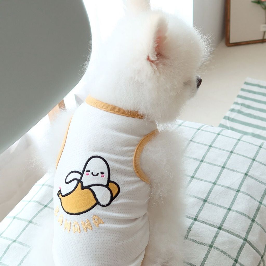 LINE_ALBUM_Honey dogg_260630_20