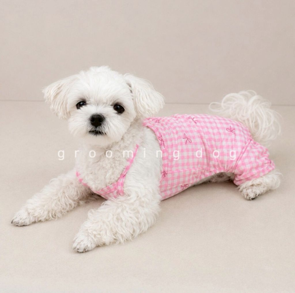 LINE_ALBUM_Grooming dog_260630_8