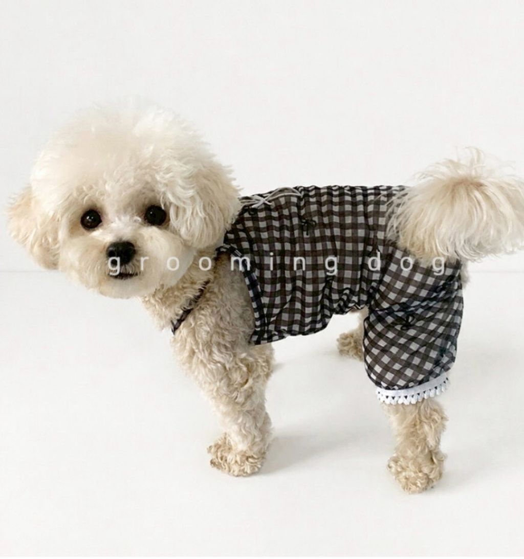 LINE_ALBUM_Grooming dog_260630_6