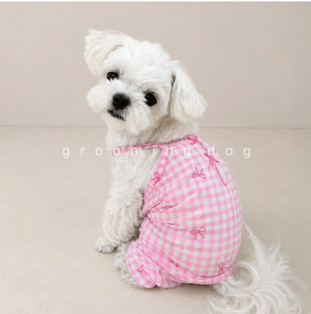 LINE_ALBUM_Grooming dog_260630_4