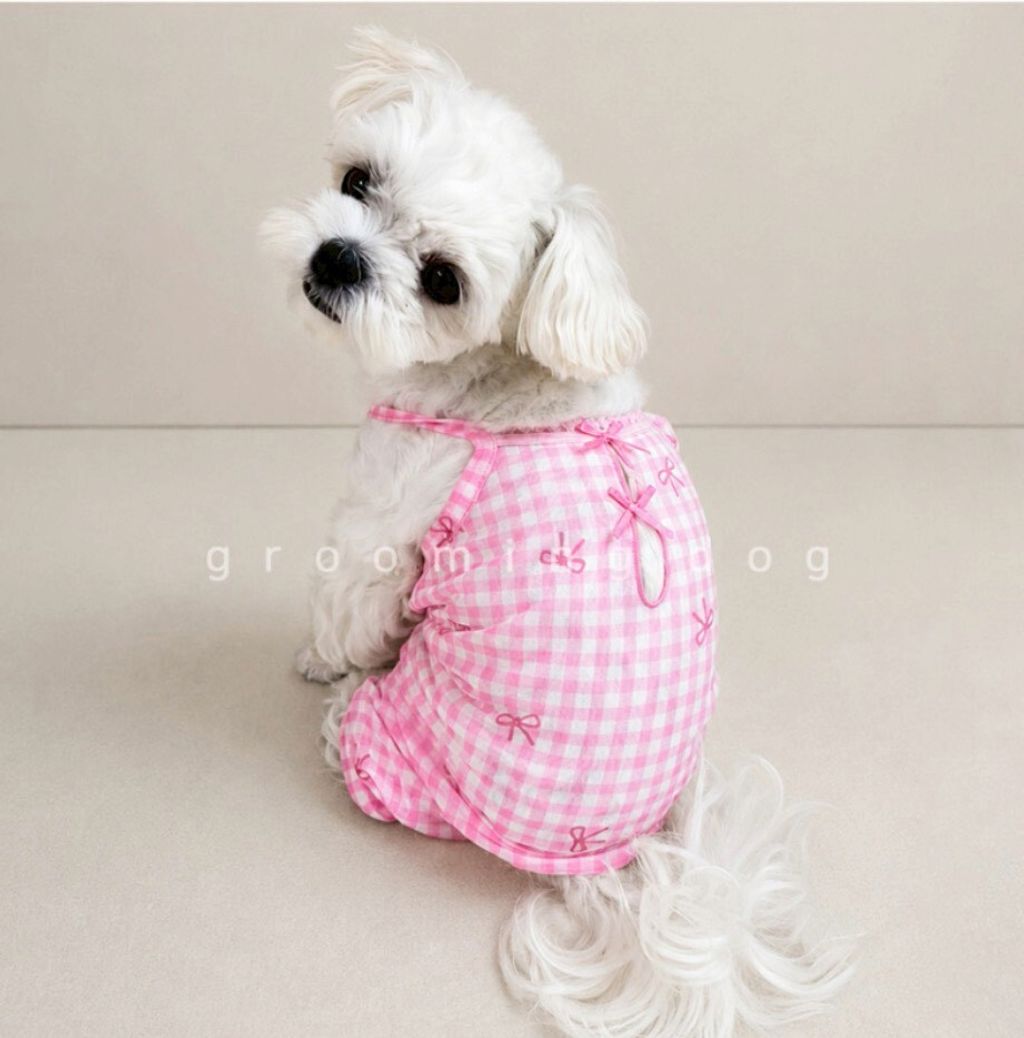 LINE_ALBUM_Grooming dog_260630_7