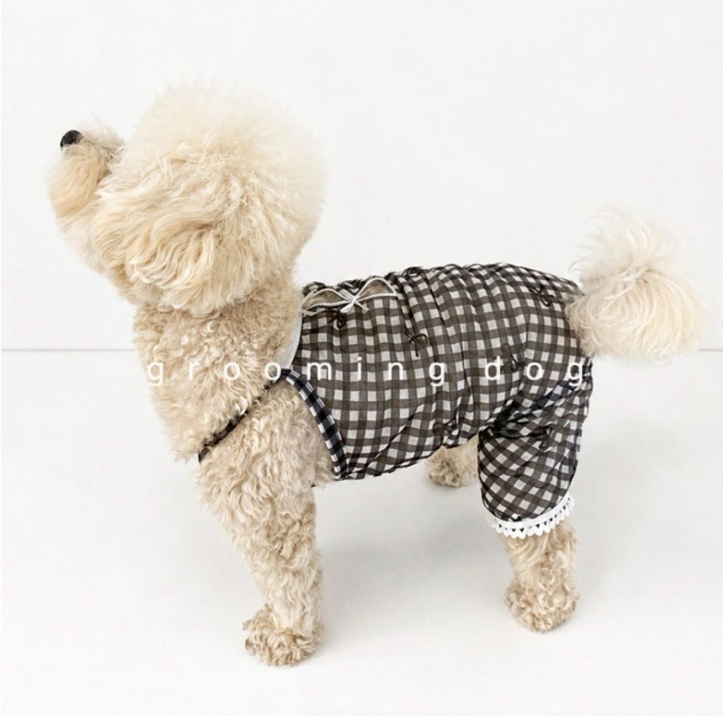 LINE_ALBUM_Grooming dog_260630_5