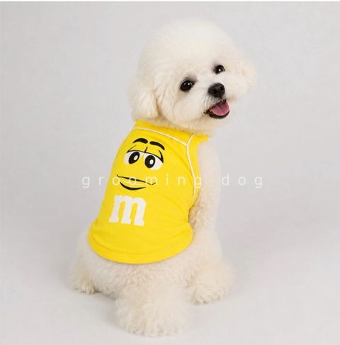 LINE_ALBUM_Grooming dog_260630_14