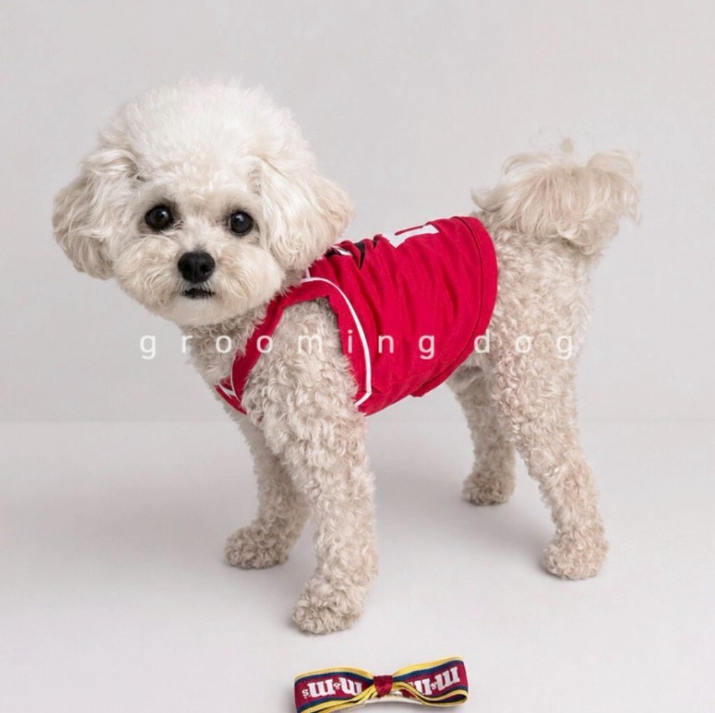 LINE_ALBUM_Grooming dog_260630_18