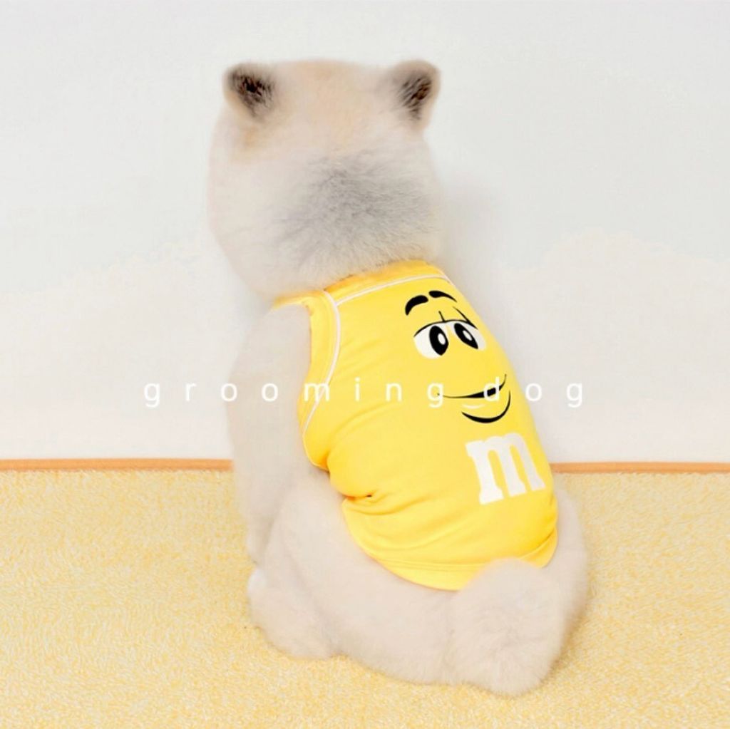 LINE_ALBUM_Grooming dog_260630_17