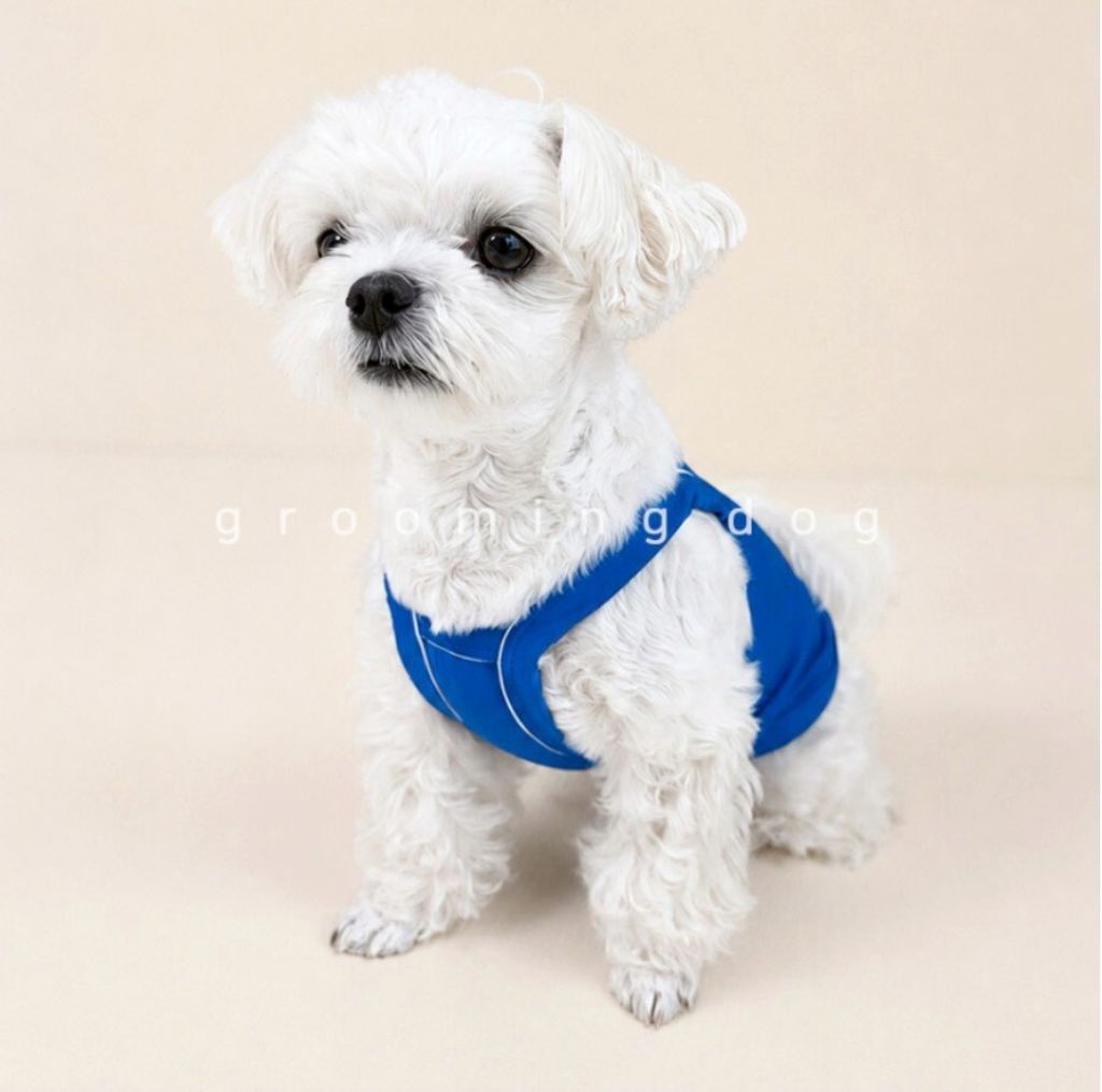 LINE_ALBUM_Grooming dog_260630_21