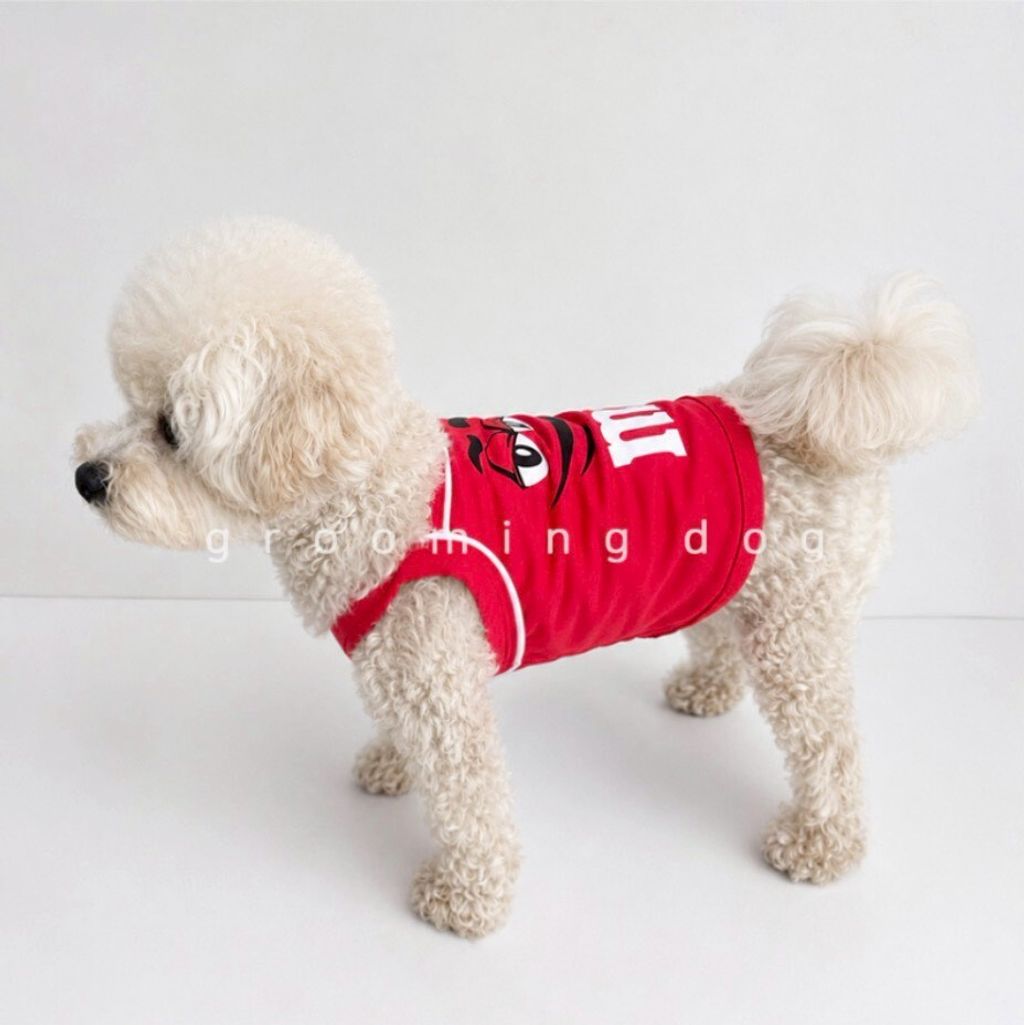 LINE_ALBUM_Grooming dog_260630_19