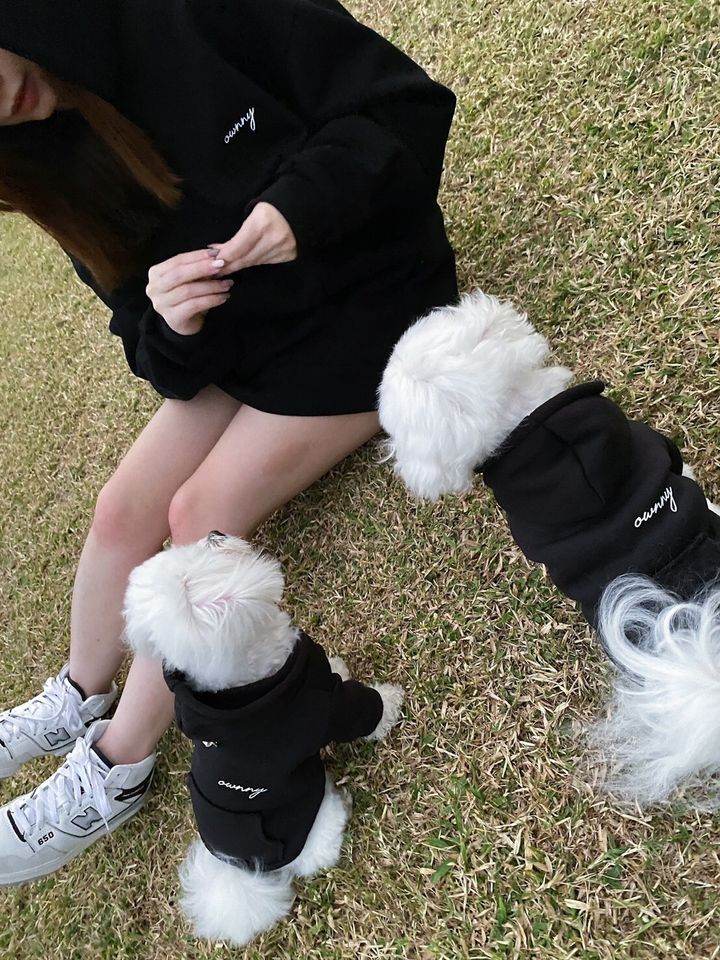 LINE_ALBUM_20231230_240104_142