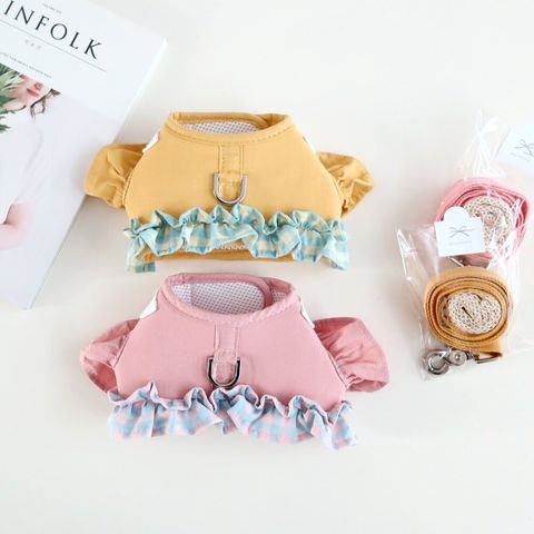 LINE_ALBUM_Honneydog_240108_105