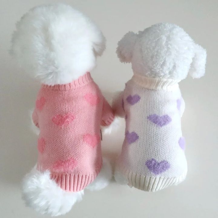LINE_ALBUM_Honneydog_240108_25