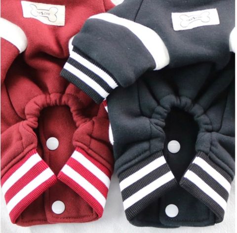 LINE_ALBUM_Caniche(南大門網站）_240109_13