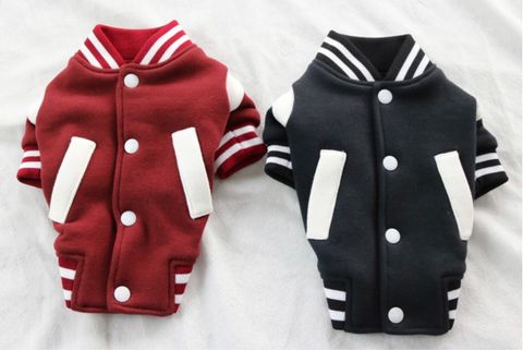 LINE_ALBUM_Caniche(南大門網站）_240109_16