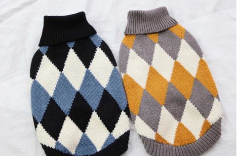 LINE_ALBUM_Caniche(南大門網站）_240109_12