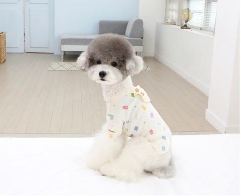 LINE_ALBUM_Itsdog有機棉_240122_10